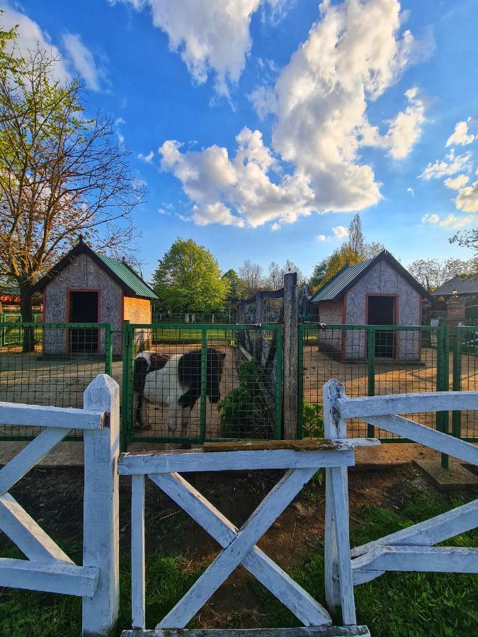 Wood Mood Apartman Tiganjica Stajicevo Экстерьер фото